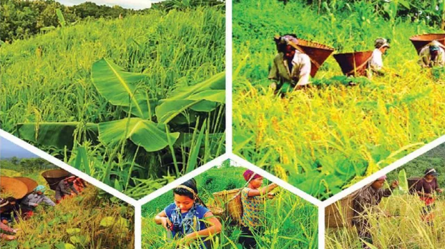 কৃষির টেকসই উন্নয়ন এখন সময়ের দাবি