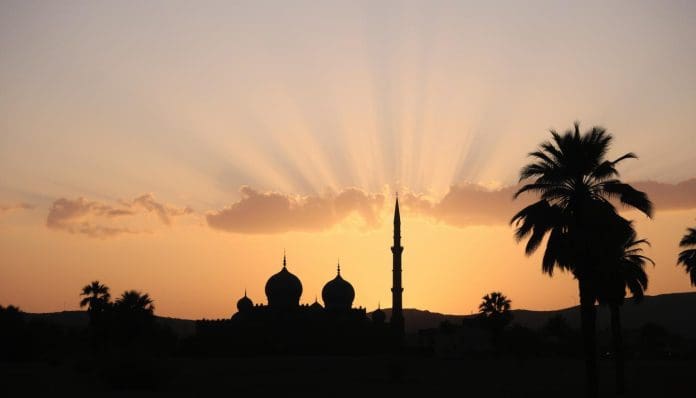 কোমলতা—সফলতা অর্জনের অনন্য পাথেয়