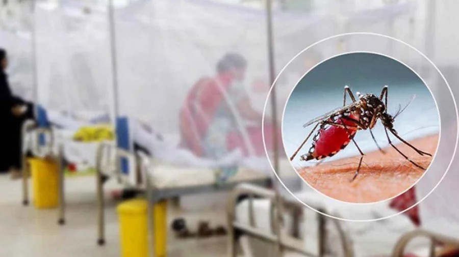 ডেঙ্গুতে আরও ৬ জনের মৃত্যু, হাসপাতালে ভর্তি ৯৮৩