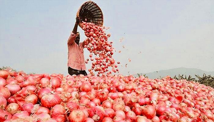 অস্থিতিশীল পেঁয়াজের বাজার, কেজিপ্রতি দাম ছাড়াল ১০০ টাকা